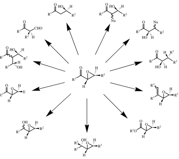 Figura 2.1. Rappresentazione generale delle principali possibili trasformazioni degli  α,β− epossi chetoni