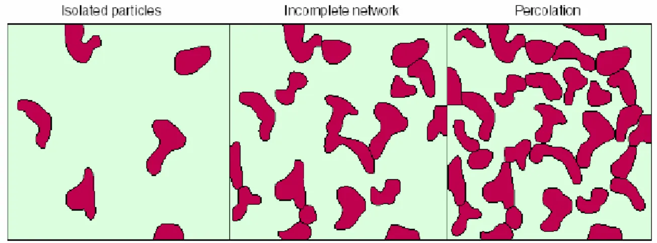 Fig. 3.11Percolation networks 