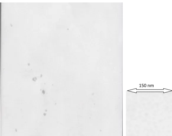 Fig. 3.7 TEM  Photograph of  a PDMNP film obtained by polymerization of a  solution containing AgNO 3  (15%) and Irgacure initiator ( 5%) in  Acrylonitrile ( AN)
