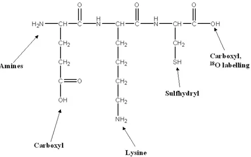 Figure 12. Generic summary of coding strategies currently employed to exploit various reactive 