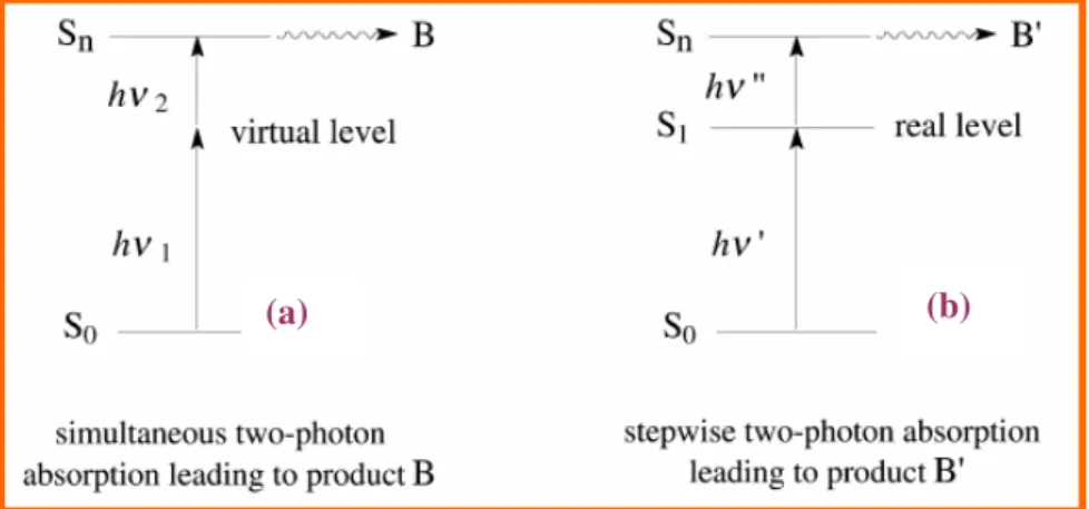 Figure 3.2. Mechanisms of two-photon absorption. a) simultaneous absorption of two photons, h ν 1 