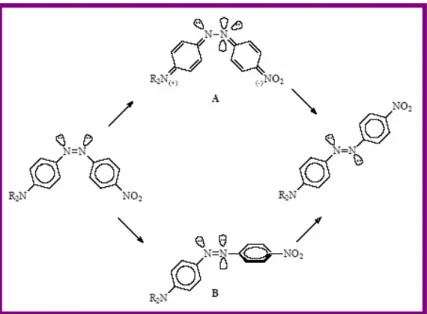 Figure  3.11.  Transition  states  relative  to  the  rotational  mechanism  (A)  or  to  the  inversion  (B)  of  para, para' substituted azobenzene