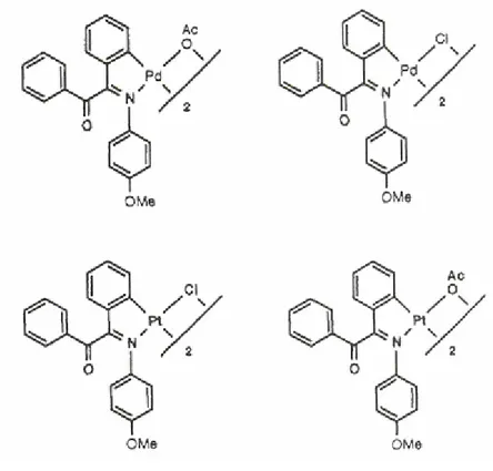 Fig. I.12 Struttura dei complessi ciclopalladati binucleari a ponte cloro e a ponte acetato della   N-(4-metossifenil)-α-benzoilbenzilidenamina