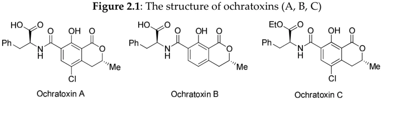 Figure 2.1: The structure of ochratoxins (A, B, C)