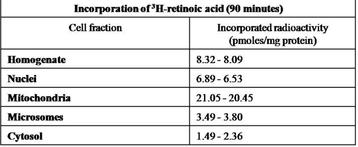 Table 2.  Retinoylation reaction on adrenal glands cellular sub-fractions  Incorporation of [ 3 H]RA (100 nM) into proteins by cellular fractions of adrenal glands in duplicate, incubated in a  buffer without ATP for 90 min at 37°C, as described in Materia