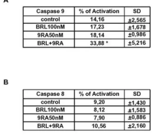 Table 7.  Activation of caspases in MCF-7 cells. Cells were stimulated for 48 h in presence of BRL 100nM, 9RA  50nM alone or in combination