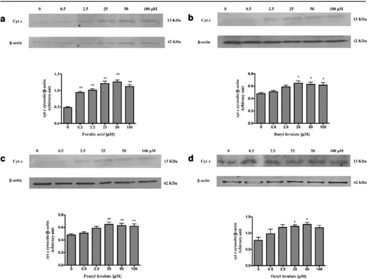Fig. 5 Effect of ferulic acid and its esters on cytochrome c release from MLT-1 cells