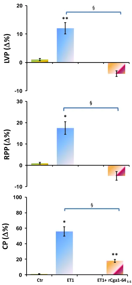Fig.  10:  Effetto  dell’ET1  (1  nM)  prima  e  dopo  trattamento  con  rCga1-64 S-S   sui  parametri  LVP,  RPP  e  CP