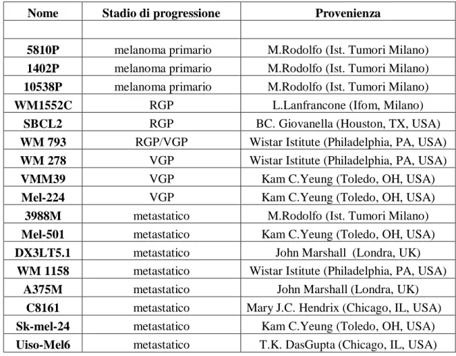 Tabella 1: Lista delle linee cellulari di melanoma utilizzate in questo lavoro e loro provenienza 