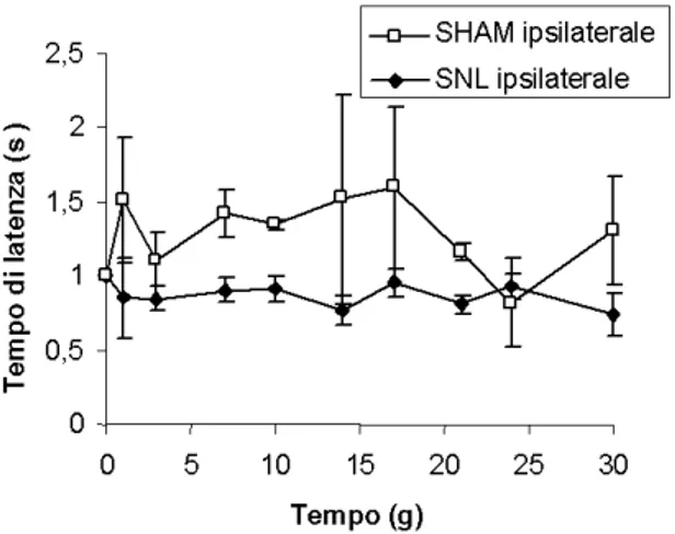 Fig. 3.2. Time course della sensibilità termica della zampa ipsilaterale nel modello di legatura  del  nervo  spinale  L5  nel  topo
