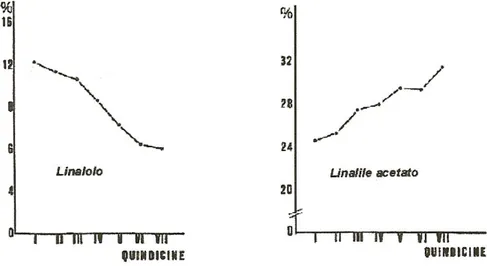 Figura 1.3   A) limonene;  B) linalile acetato;  C) linalolo 