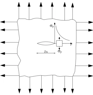 Fig. 1.5.1 – Singolarità  tensionale all’apice di una fessura di lunghezza 2a . 