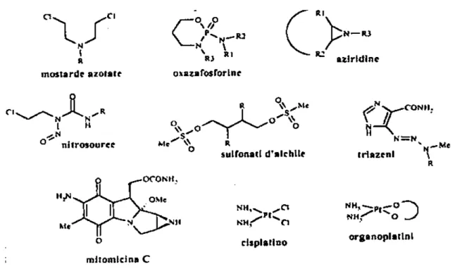 Fig. 8: Agenti alchilanti. 