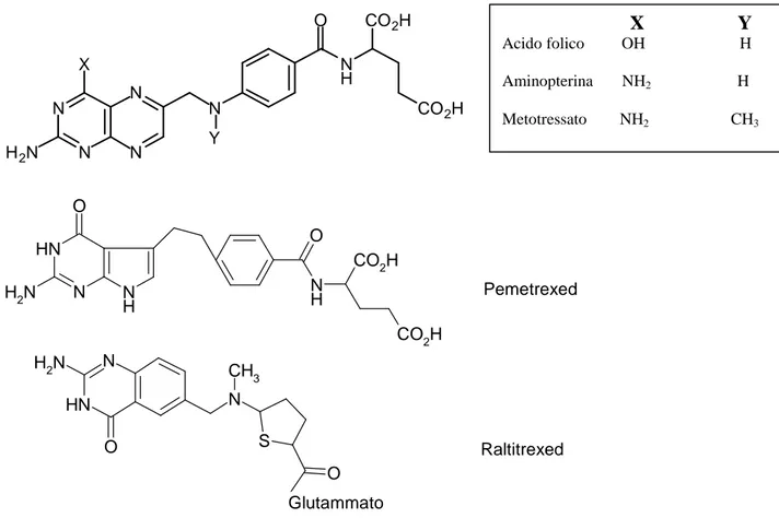 Fig. 14: Antagonisti dell’acido folico. NNNNXH2NNYN HCO2HCO2HO                           X                   Y Acido folico         OH                       H Aminopterina       NH2                     H Metotressato        NH2                    CH 3NNHON