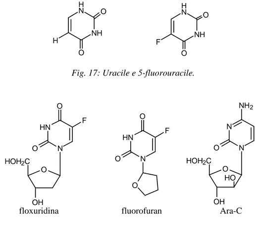 Fig. 17: Uracile e 5-fluorouracile. 