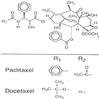 Fig. 19: Paclitaxel e Docetaxel. 