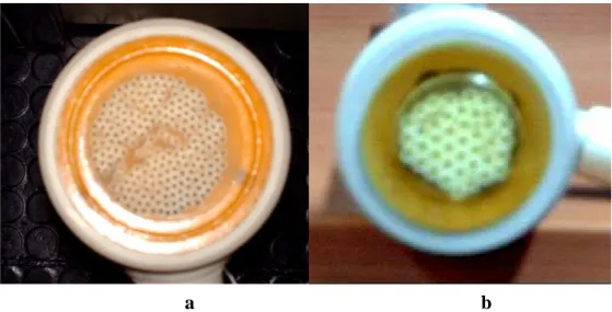 Fig. 18. Sezioni di moduli Microdyn Technologies, Enka (Germany) di differenti aree;  a) area maggiore, b) area minore