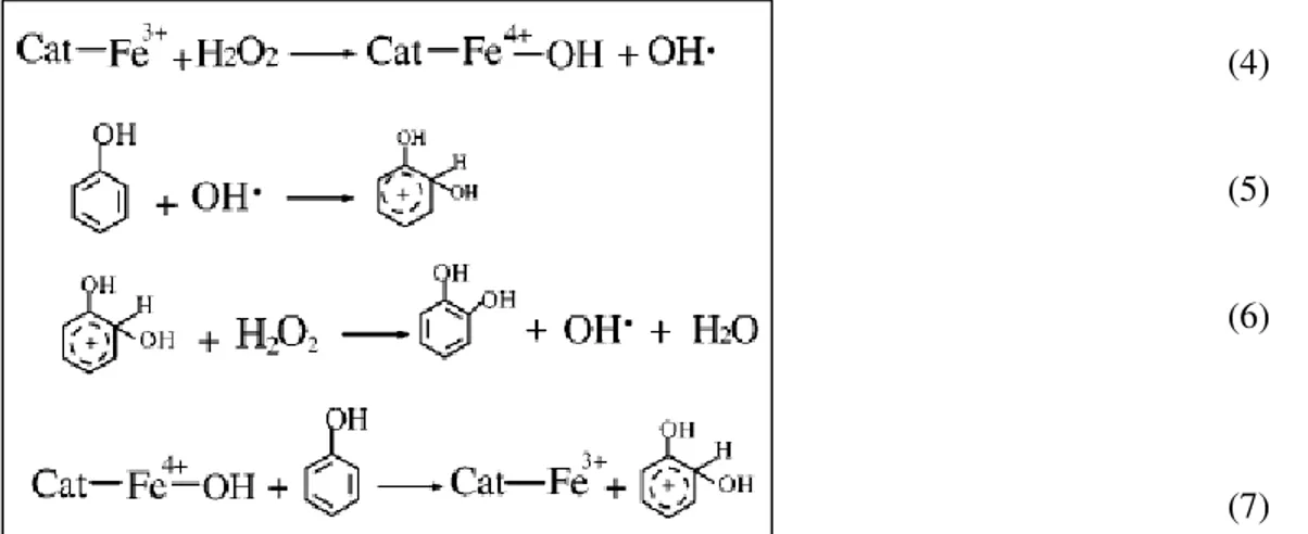 Figura 22 Schema per la reazione di WHPCO del fenolo, con attivazione dell’H 2 O 2 . [15]