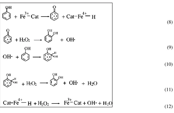 Figura 23 Schema per la reazione di WHPCO del fenolo, con attivazione del fenolo. [15]