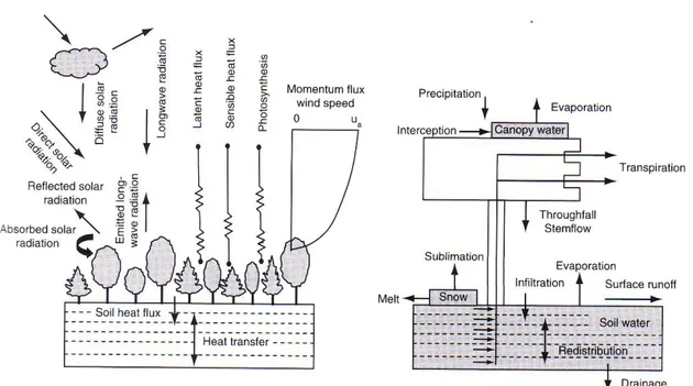 Figura 1.4. Processi fisici rappresentati nei modelli LSS e nei modelli climatici. Tratto da: Bonan,  2008