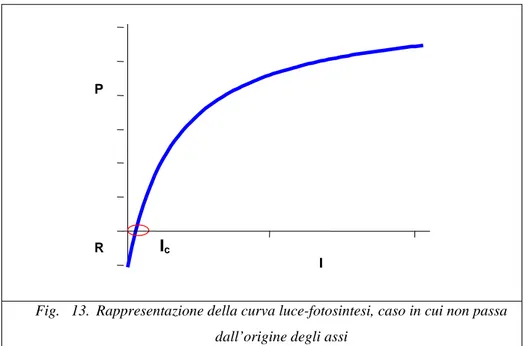 Fig.   13.  Rappresentazione della curva luce-fotosintesi, caso in cui non passa  dall’origine degli assi   