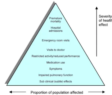 Figura 2.11. Piramide degli effeti sulla salute degli inquinanti atmosferici. ATS, 2000