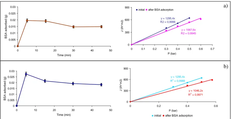 Fig.  4.6.  BSA  adsorbed  amount  and  membrane  permeability  when  a)  0.09  m/s,  b)  0.28  m/s  as  axial  velocity was applied