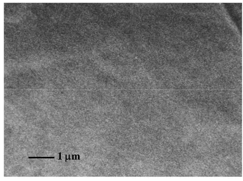 Figure 2  Scanning electron micrographs of flat membrane surfaces: a)  polytethrafluoroethylene dense membrane; b) polyethersulphone microporous membrane 