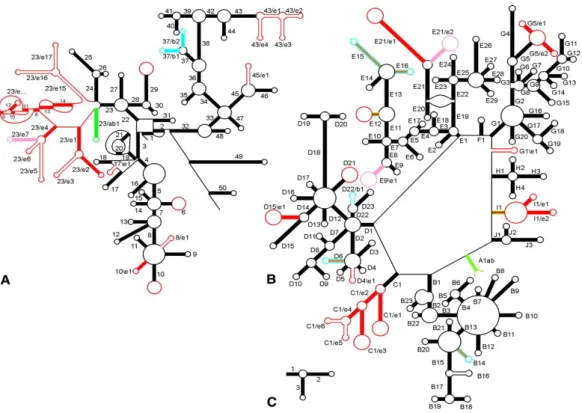 Figure 2.3 Secondary rRNA structures. 