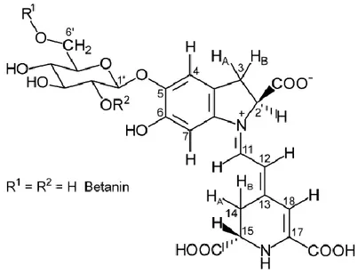 Figure 4.2: Molecular structure of betanin present in the red beet root. 