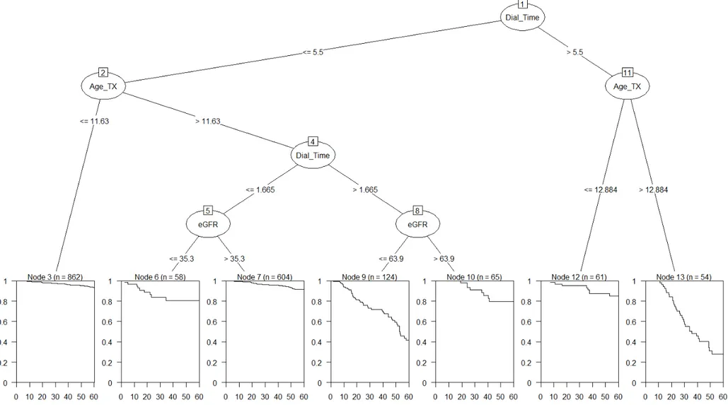 Figura 10: Albero di sopravvivenza a 5 anni del trapianto pediatrico usando anche parametri clinici post-trapianto: criterio di split del log-rank test