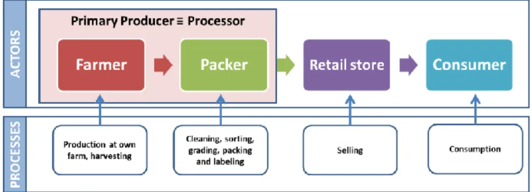 Figure 51 - Supply Chain of fresh fruits and vegetables under own production 