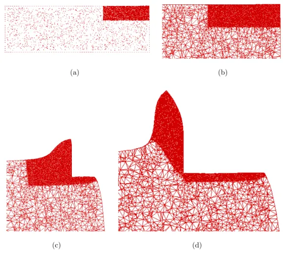 Figure 2.10: The mesh generation in the NI code - The initial cloud of nodes (a) and the initial mesh (b); the mesh at two steps of the simulation (c) and (d).