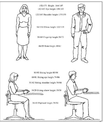 Figure 1.12 - Anthropometric measures for average U.S. adults (5 th /95 th  percentiles for 