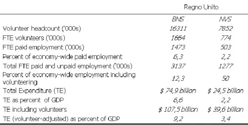 Tabella 4.1: Contributo del Terzo Settore britannico in termini economici. Dati al 1995