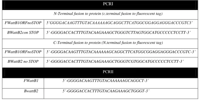 Table  4.7  Sequence  primers  foramplification  of  OesDHN  cDNA  with  attB  extensions  with  Gateway  technique