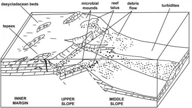 Figura 2.2. Schema interpretativo paleoambientale delle facies Noriche (Climaco et al., 1997)
