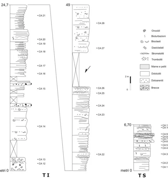 Figura 5.10. Sezioni stratigrafiche di dettaglio della successione “Carpinoso”. TI: Tratto Inferiore; TS:  Tratto Superiore