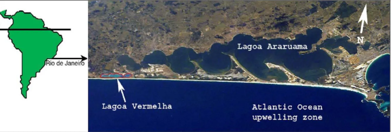 Figura 9.1. Immagine da satellite illustrante la posizione geografica della laguna di Lagoa Vermelha  presso Rio de Janeiro (Brasile), lungo la costa Atlantica (Vasconcelos et al., 2006)