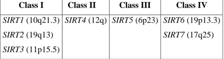 Table 1.1 SIR2-like Histone Deacetylases and Chromosomal location 