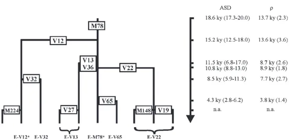 Fig. 2.—Maps of the observed haplogroup/paragroup frequencies. (A) E-M78; (B) E-V12*; (C) E-V32; (D) E-V13; (E) E-V22; and (F) E-V65.