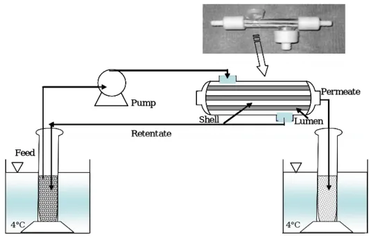 Fig. 5. Schematic draw of membrane diafiltration system.