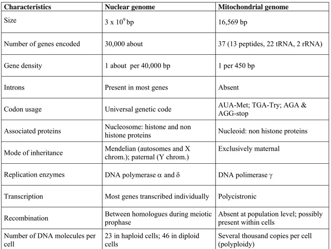 Table 1.  Human nuclear and mitochondrial genomes (modified from Taylor and Turnbull, 2005) 