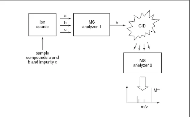 Figure 1.5. Scheme illustrating the selectivity of MS/MS and the process by collision induced dissociation