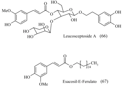 Figura 2.11 – Derivati attivi dell’acido ferulico 