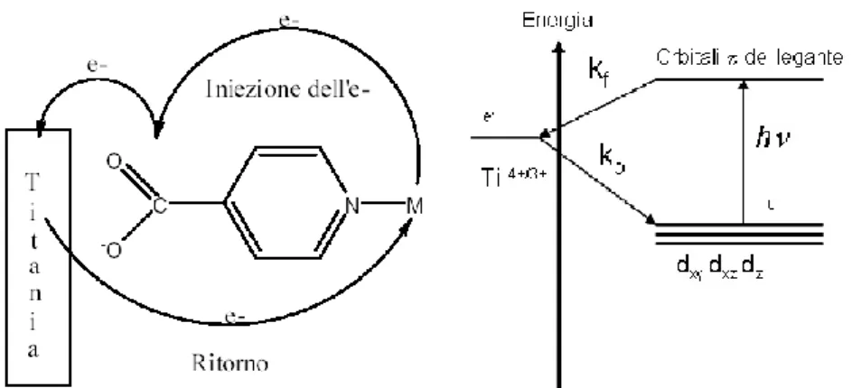 Figura 1.11 Meccanismo di iniezione e ritorno dell’elettrone (transizione MLCT) con i relativi orbitali 