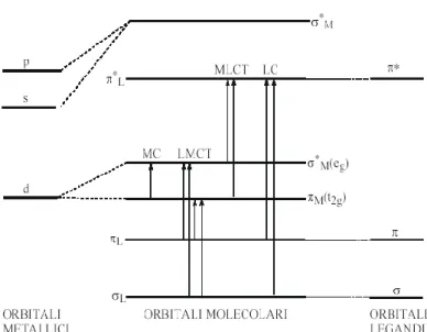 Figura 1.13 schema dei livelli e delle possibili transizioni elettroniche per i complessi a 