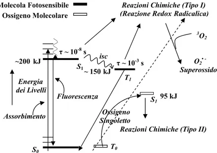Diagramma di Jablonsky per la formazione di ossigeno singoletto   Figura 9 