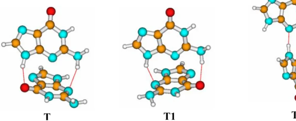 Figura 5. Strutture T-forms più stabili per la coppia di basi GG  3.5.2 Sistemi hydrogen bonded, stacked e T-forms monoidratati