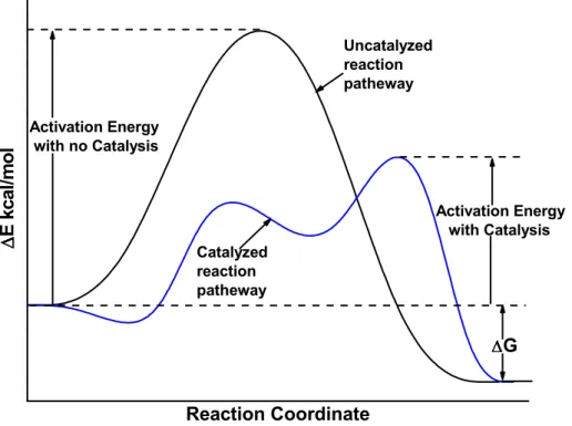 Figure 1.1: Potential energy profile for an exothermic reaction, showing the lower activation energy of the catalysed reaction.